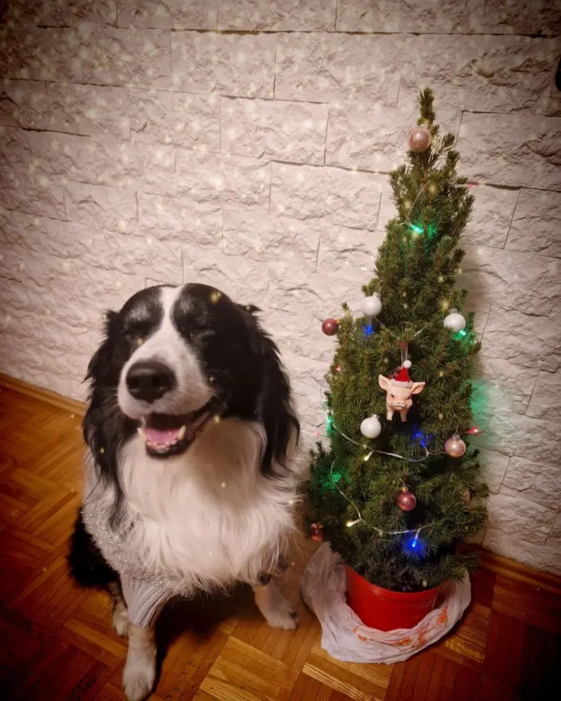 Condolence image of Umut