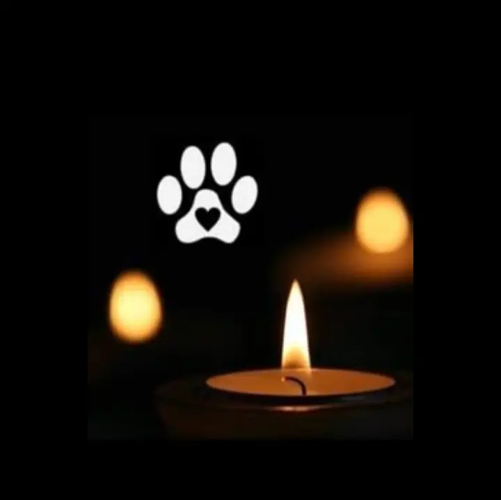 Andachtsbild von Annett Schneider