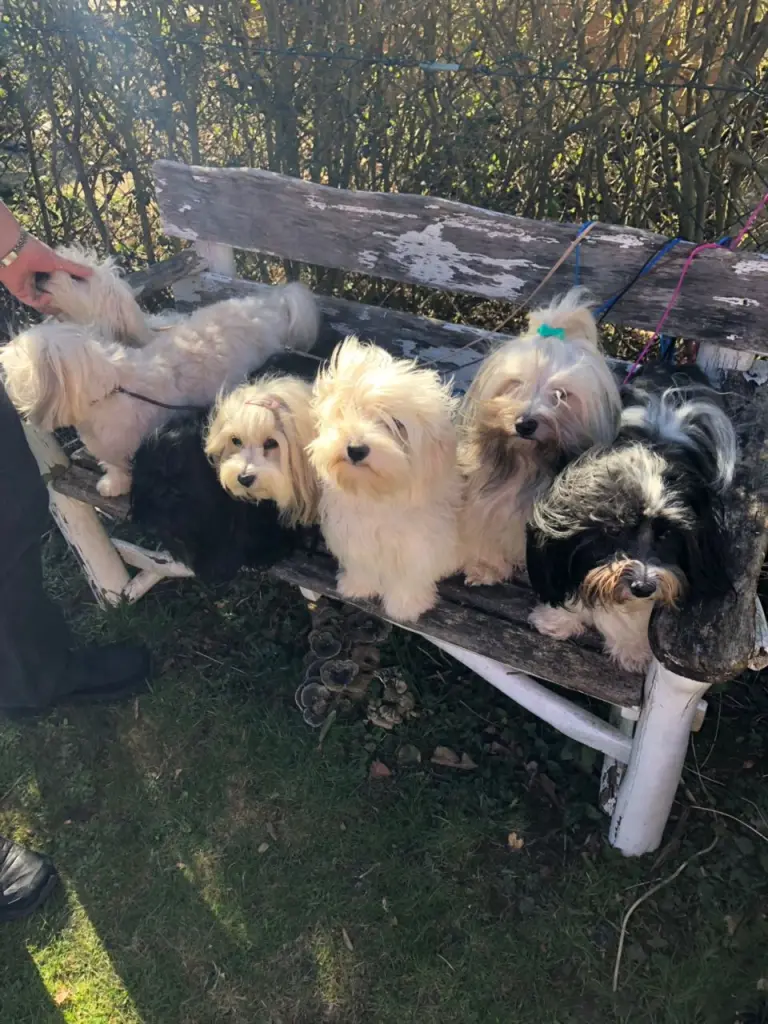 Andachtsbild von Wolf-Eike Mardas