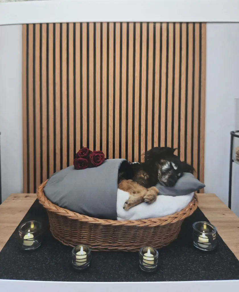 Condolence image of Sabrina Beubler