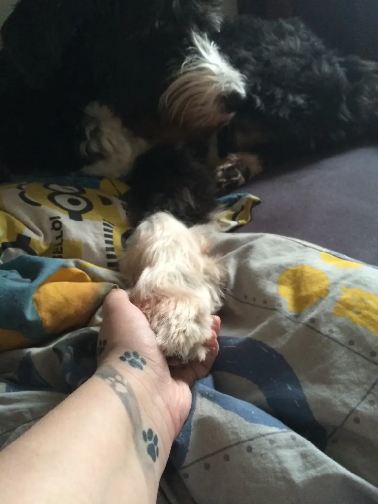 Image from Jacky