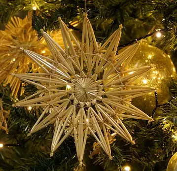 Condolence image of Luna zu Weihnachten