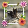 Condolence image of Dla Misiulka❤❤❤