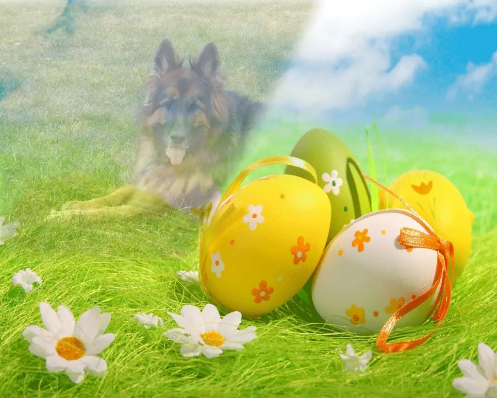 Condolence image of Kocham Cię❤❤❤