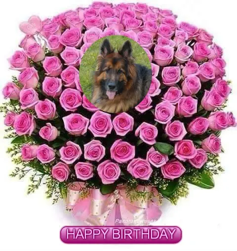 Condolence image of Kocham Cię❤❤❤