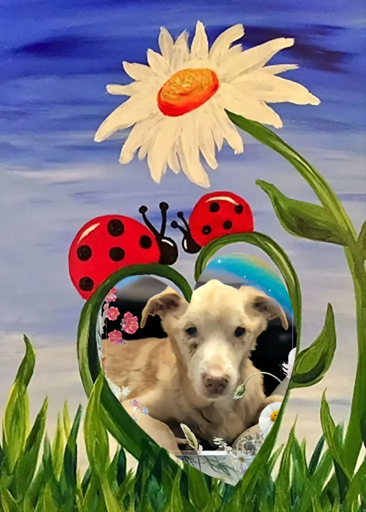 Condolence image of Różyczki🌹🌹🌹🌹🌹🌹🌹🌹🌹🌹dla Kochanego❤️❤️❤️Nynusia❤️⭐️🐕💋💋💋