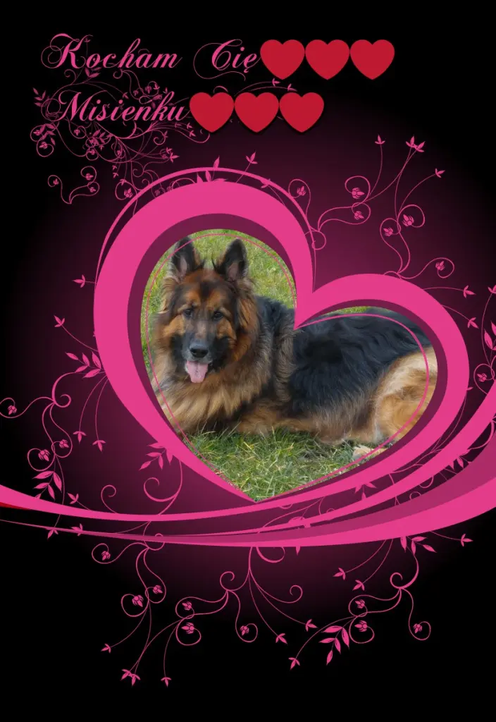 Condolence image of Mój Misiulek❤❤❤