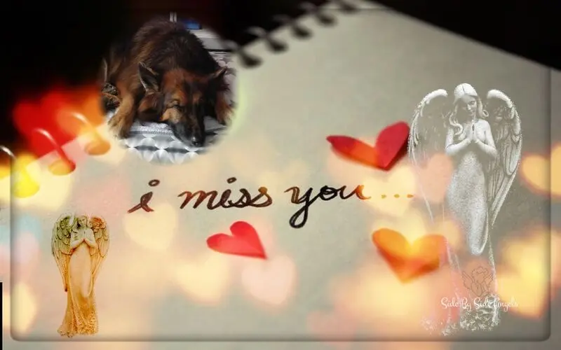 Condolence image of ❤️❤️❤️❤️❤️❤️❤️❤️❤️❤️❤️❤️❤️❤️