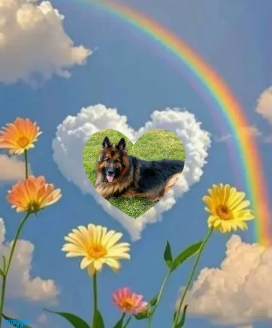 Condolence image of Kocham❤️❤️❤️❤️❤️❤️Cię❤️❤️❤️⭐️Mińku❤️❤️❤️⭐️