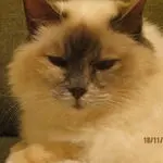 Andachtsbild von Nachricht aus dem Regenbogenland