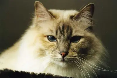 Andachtsbild von Uschi