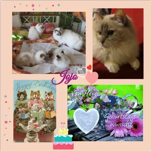 Andachtsbild von Rosen für Jojo zum 26. Geburtstag