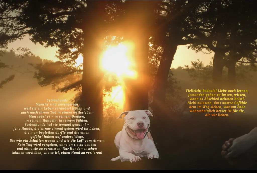 Condolence image of Ramona
