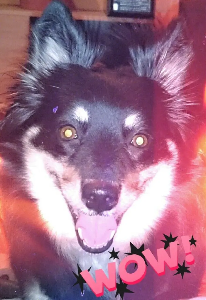 Image from Missy