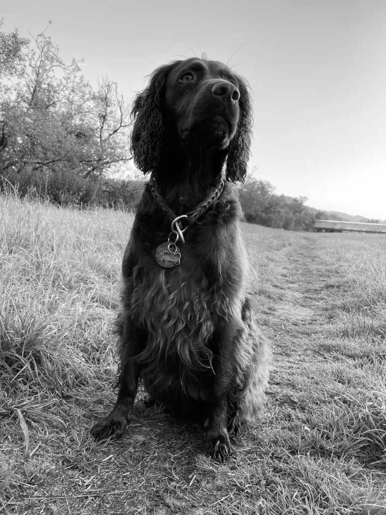 Bild von Maggie