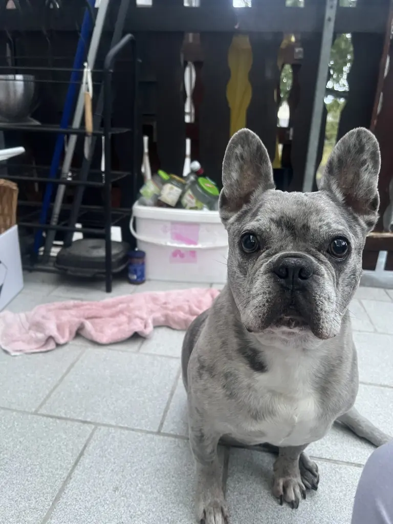 Condolence image of Lucia