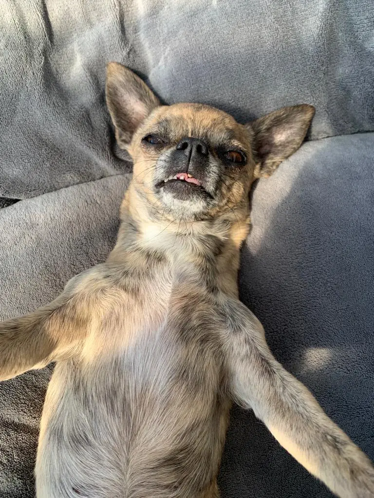 Condolence image of Lara