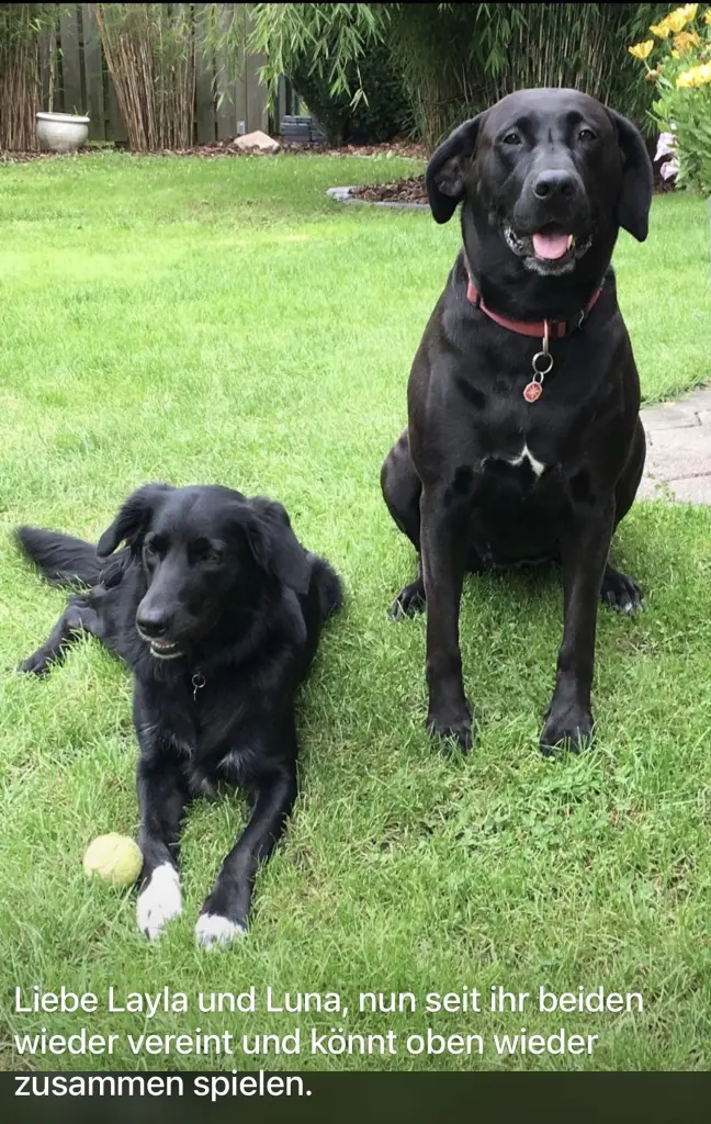 Luna und Layla