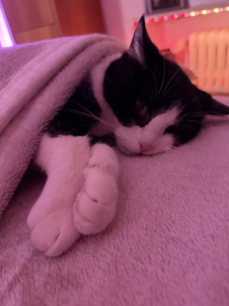 Condolence image of Patrick Povey