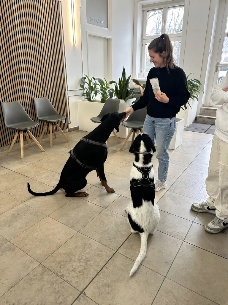 Condolence image of Lea