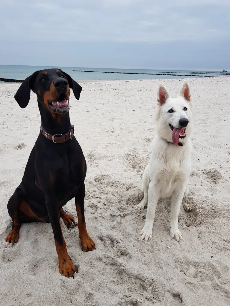 Condolence image of Claudia Ries