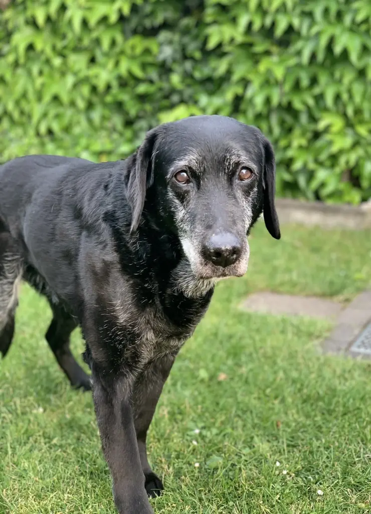 Condolence image of Jessi