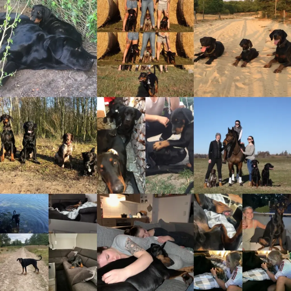 Condolence image of Sarah