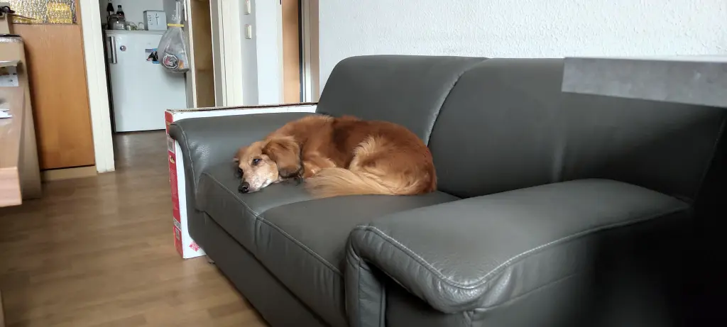 Condolence image of Ralf G