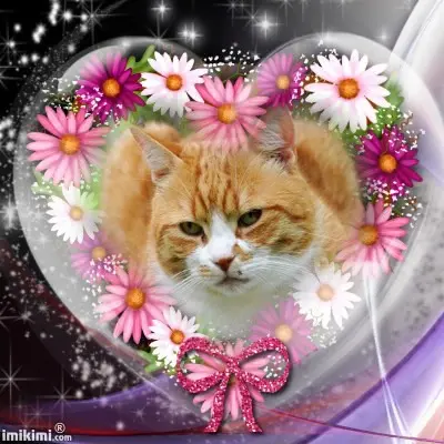 Condolence image of Donnerstag❤️Rosen❤️❤️❤️❤️❤️❤️❤️