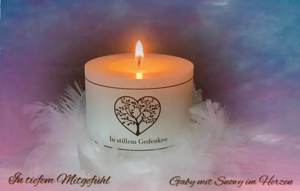 Condolence image of ♡Ein hoffnungsvolles🌹♡🌹Licht zu dir liebe Amy♡