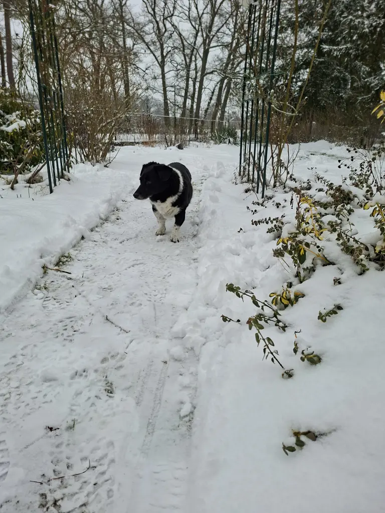 Image from Miss Pumba