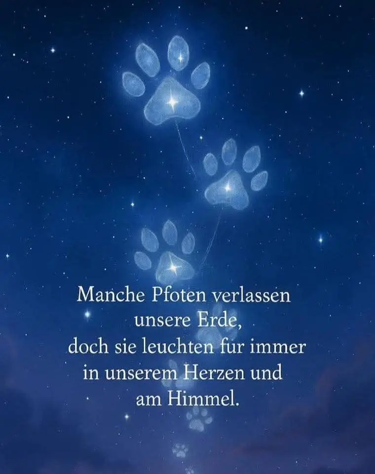 Condolence image of Deine Familie <3