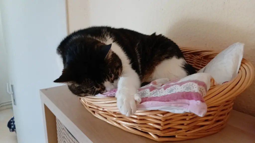 Condolence image of Dein liebender Vater<3