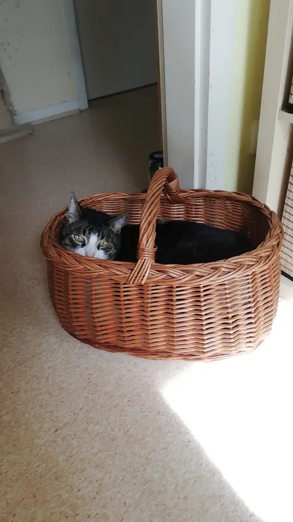 Condolence image of Tief in meinem Herzen ❤️ Bist du für immer