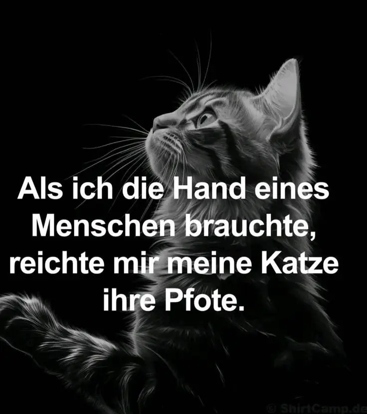Condolence image of In Gedanken bei dir mein süßer Erwin 😔🥺 Mein Herz ist verbunden mit dir ✨🌈❤️