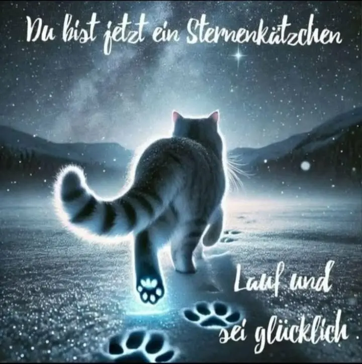 Condolence image of In ewiger Liebe ❤️ im Herzen verbunden 😔🥺🌠✨🌈