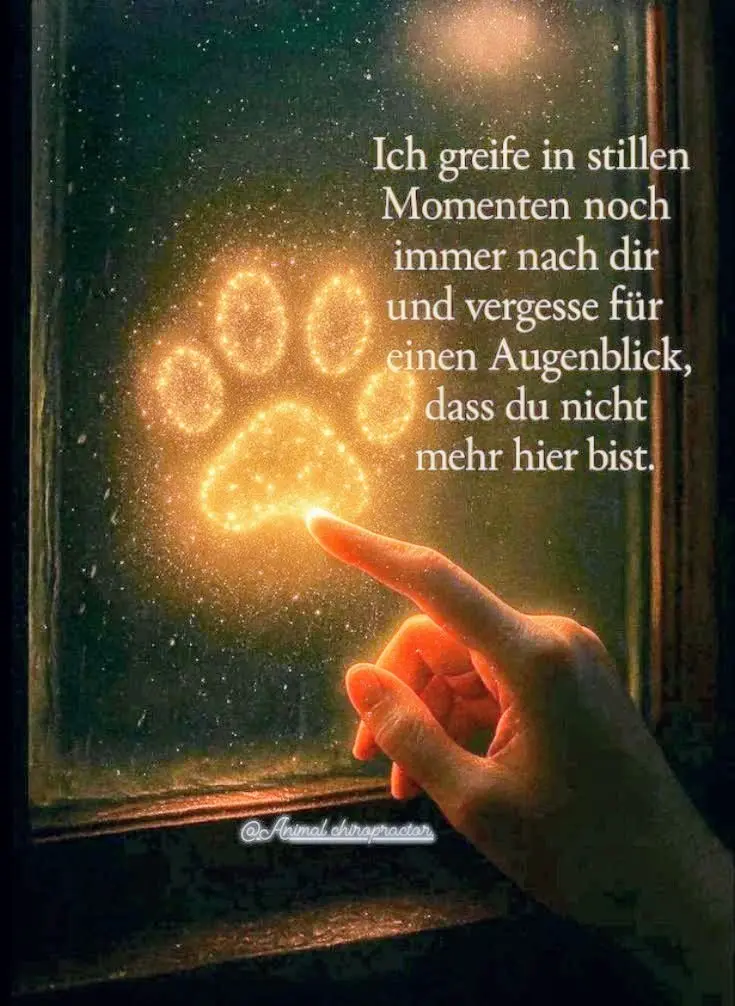 Condolence image of happy Haappyy 🎂🍰🎊🎉🎁 Birthday 🌠✨💞🌈 Erwin mein geliebter Schatz 😔😢💝💌