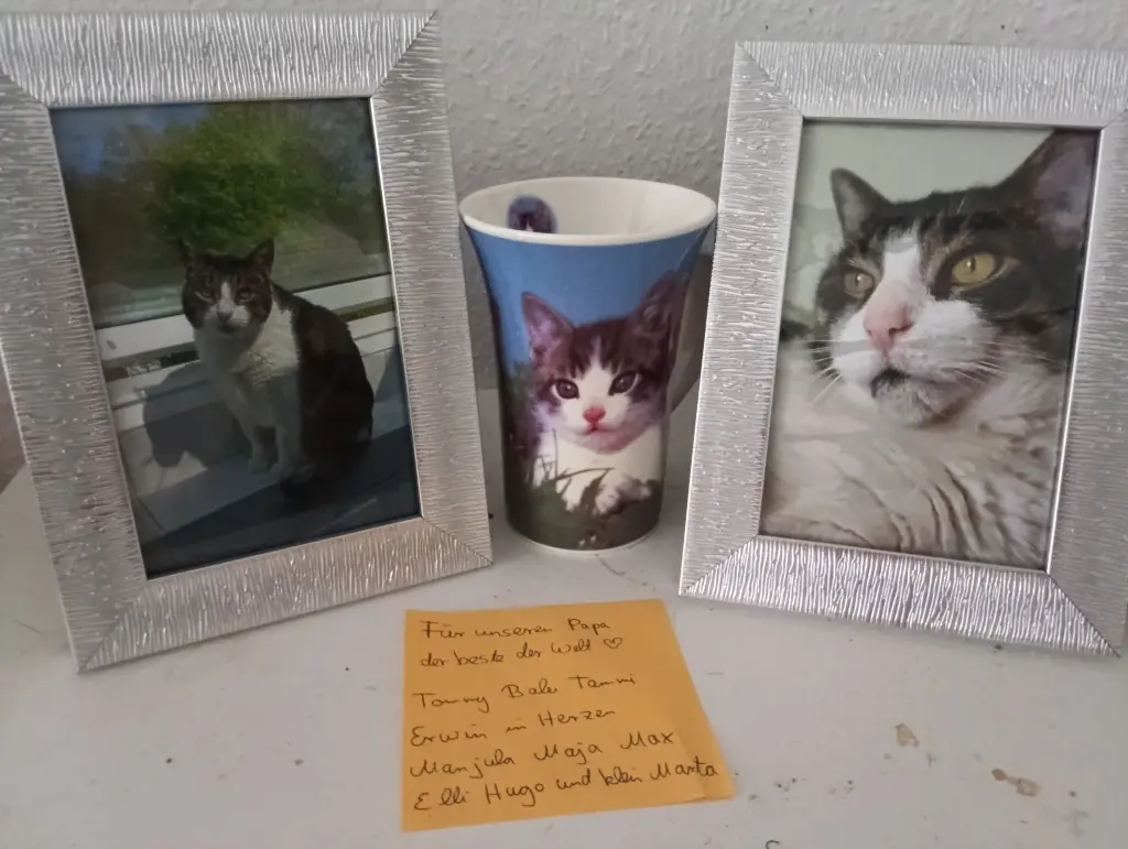 Condolence image of Hallo mein süßer Prinz 🌟💕🌈💌🐾 Du bist fort,aber in mir noch so präsent 😔💞💗😢🫶