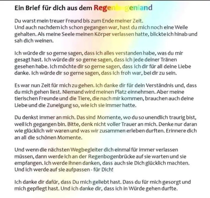 Condolence image of Erwin,mein geliebter Sohn ❤️🫶🌈🐾 Der Himmel hat dich zurück,uns fehlst du sehr 🌠🪽😢