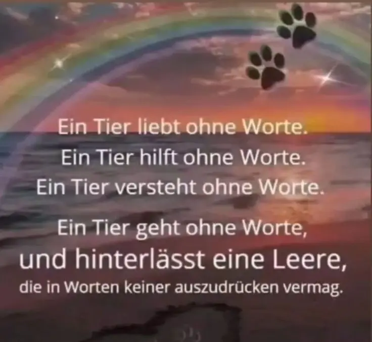 Condolence image of Erwin ,du bist für immer in meinem Herzen 🐾🌈💓🌠🪽✨