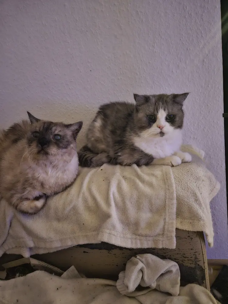 Condolence image of Leonie Bayer