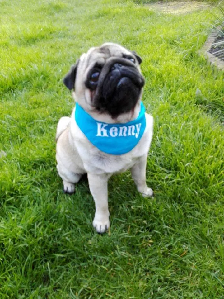 Image from Kenny
