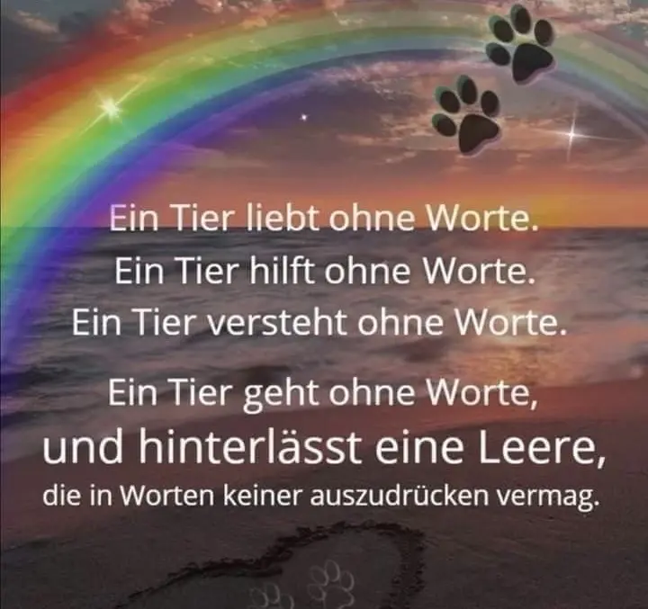 Condolence image of Carolin Sprachmann