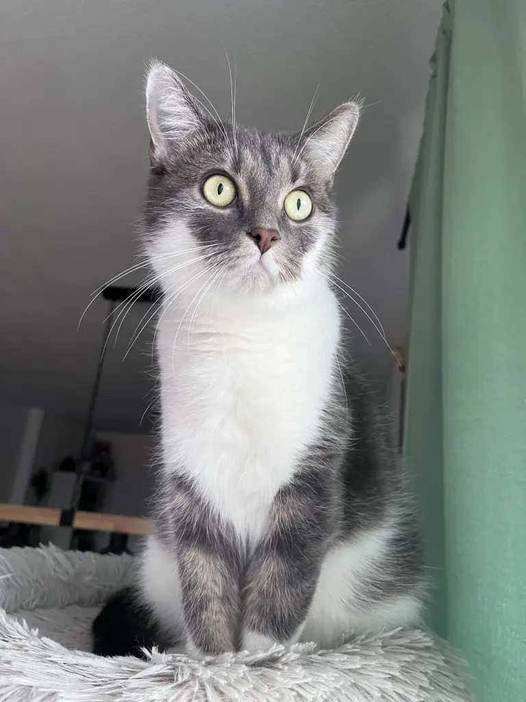 Condolence image of Bernadette