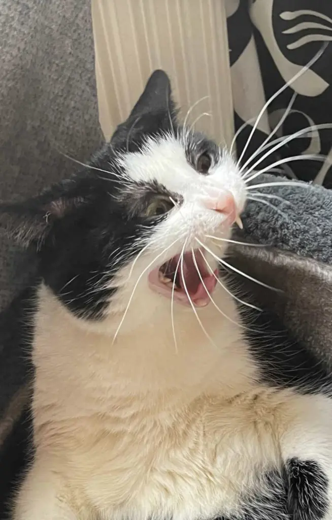 Condolence image of Tante Kiki