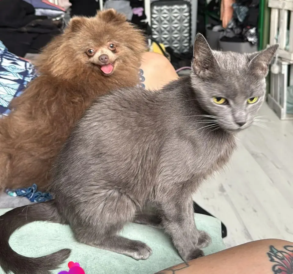 Condolence image of Vanessa und Stormy