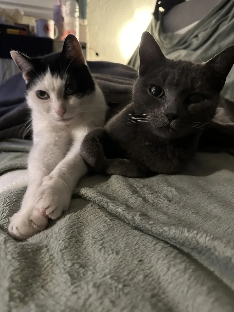 Du warst Grey’s ganze welt