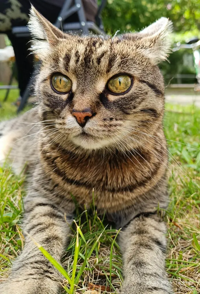 Image from Kitty