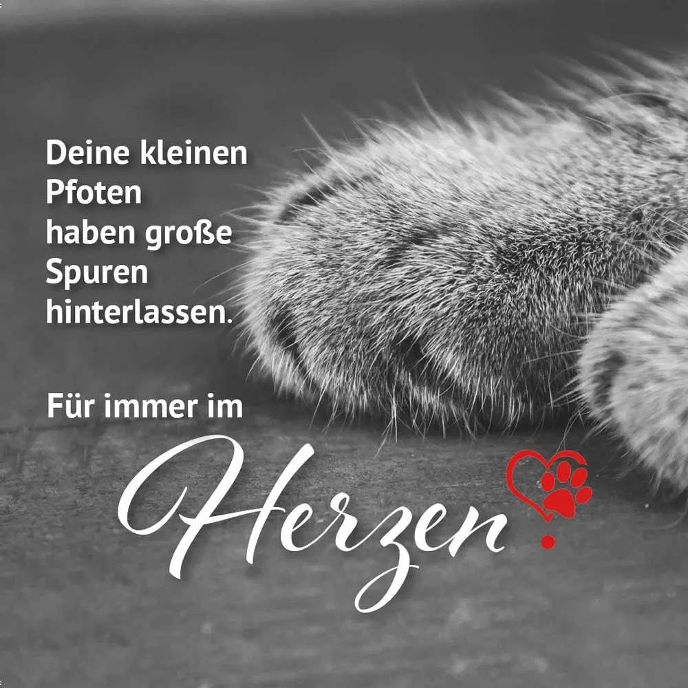 Condolence image of Konny mit Piccolino-Fly tief im ❤️