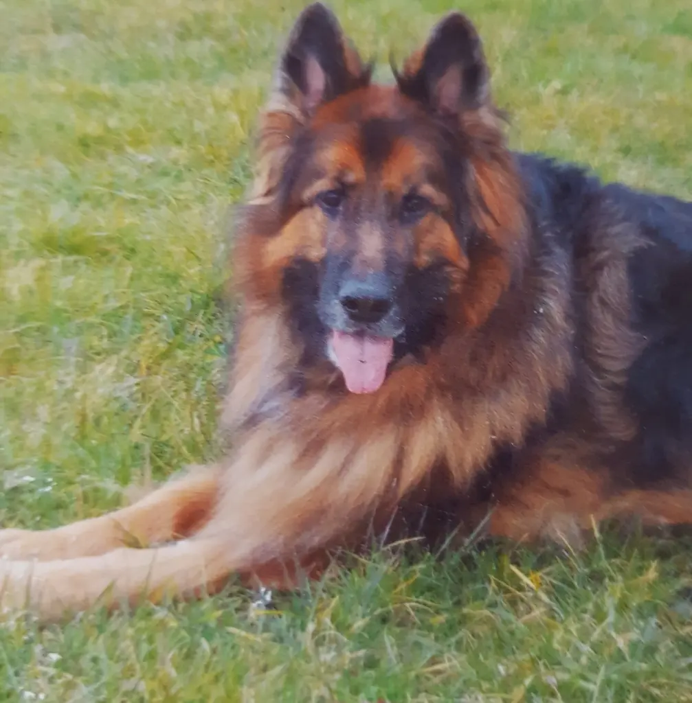 Condolence image of Klaudia